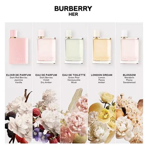 burberry constellation|Burberry her fragrance.